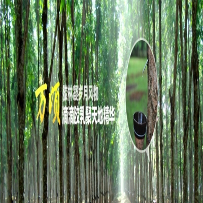 RFID橡膠樹防護(hù)防盜管理系統(tǒng)